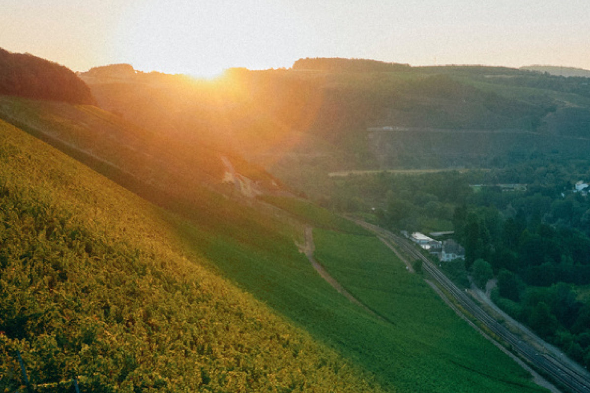 VDP.SPOTLIGHT - THE TASTING - 14.11.2026 ab 14:00 Uhr