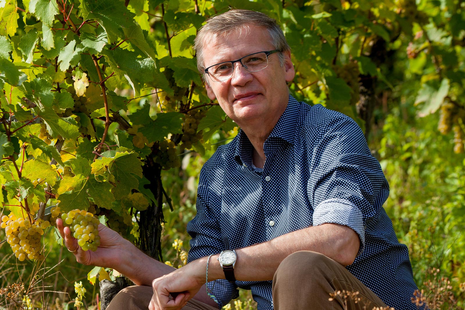 Günther Jauch zwischen den Rebstöcken im Weinberg des Weinguts von Othegraven an der Saar