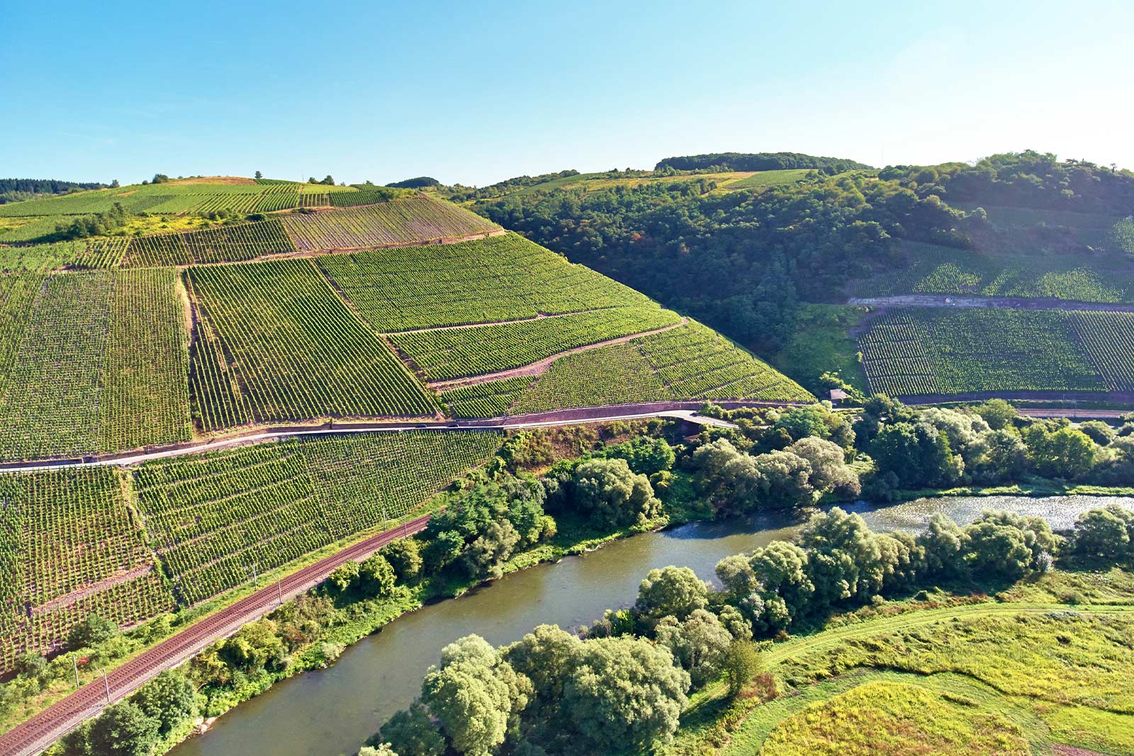 Moselwein aus der Steillage Wiltinger Kupp an der Saar im Anbaugebiet Mosel vom Weingut von Othegraven