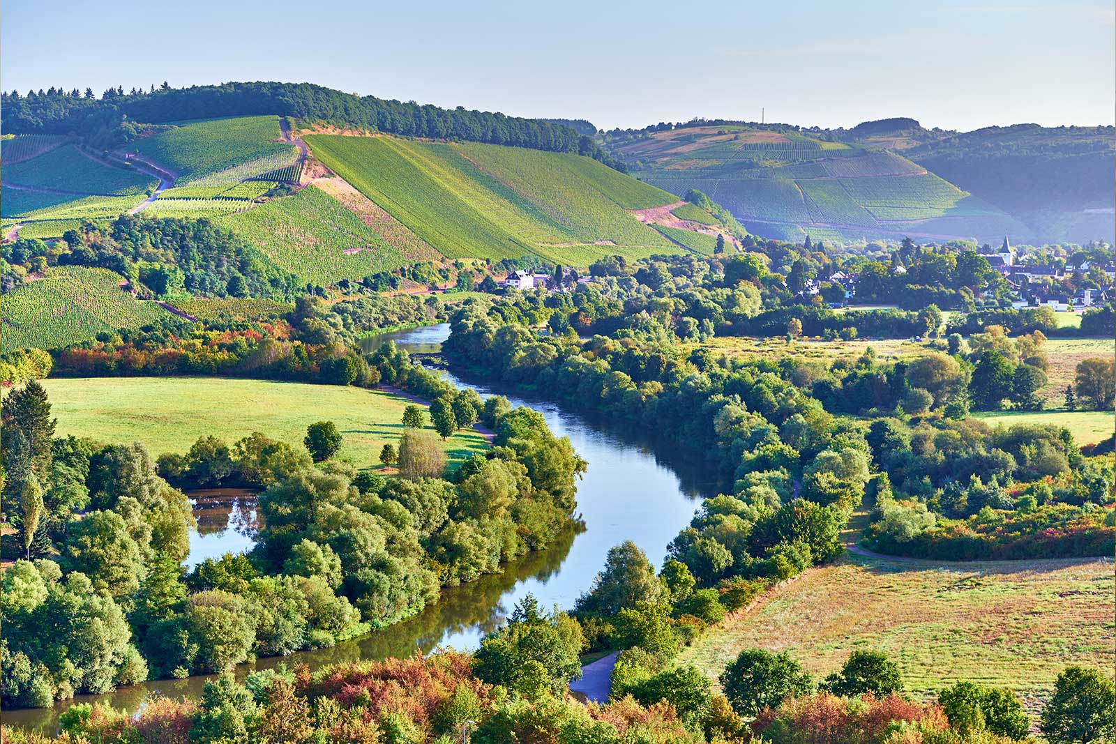 Kanzemer Altenberg an der Saar – Herkunft klassischer Saar Rieslinge im Anbaugebiet Mosel