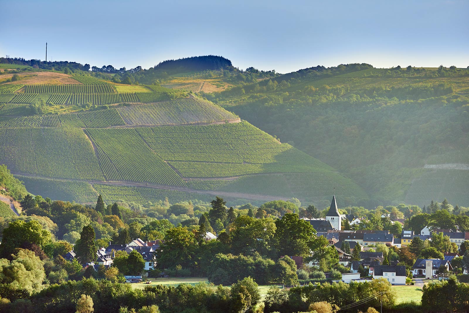 Kanzem an der Saar mit Weinbergen, Dorfkern und Blick auf die umliegenden Steillagen im Anbaugebiet Mosel