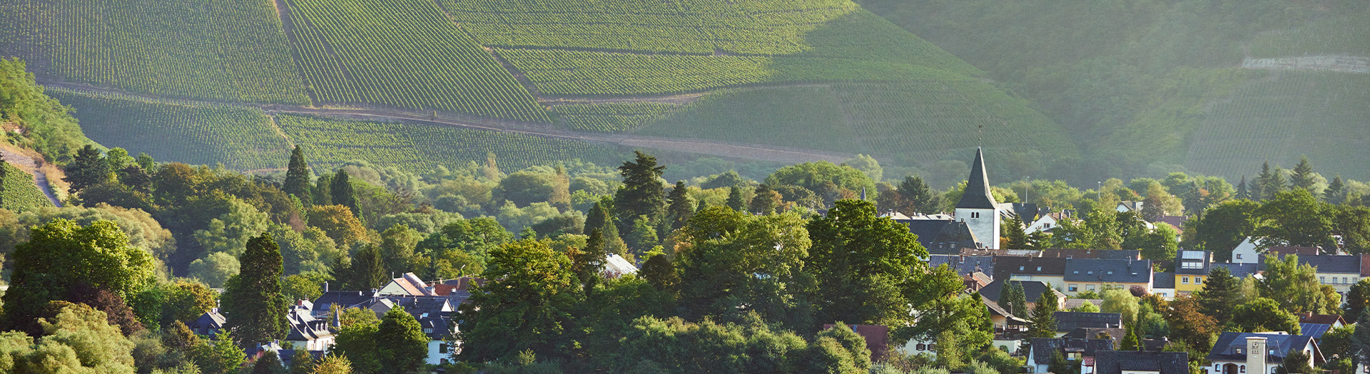 Kanzem an der Saar mit Weinbergen, Dorfkern und Blick auf die umliegenden Steillagen im Anbaugebiet Mosel