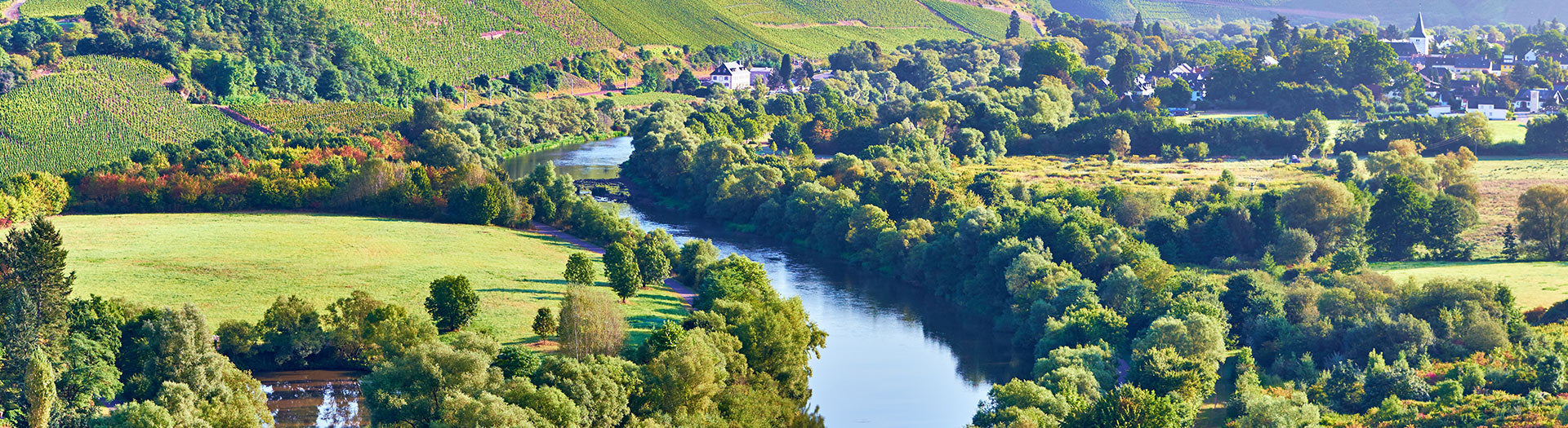 Kanzemer Altenberg an der Saar – Herkunft klassischer Saar Rieslinge im Anbaugebiet Mosel