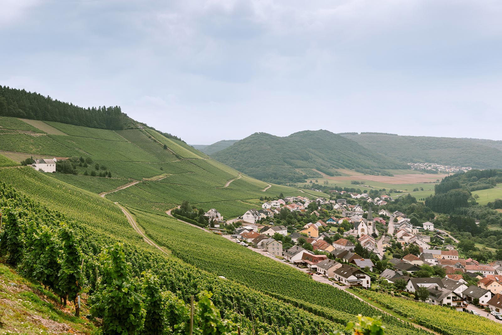 Kanzem an der Saar mit Weinbergen, Steillagen und Blick auf den Weinort im Anbaugebiet Mosel