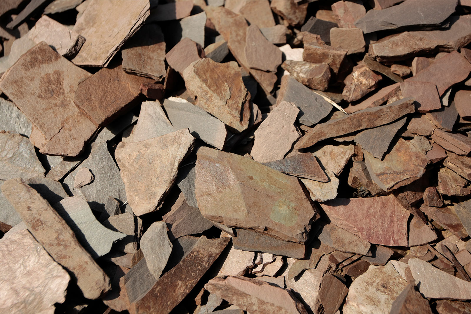 Schieferboden im Weinbaugebiet Mosel – prägendes Terroir für Moselwein von der Saar