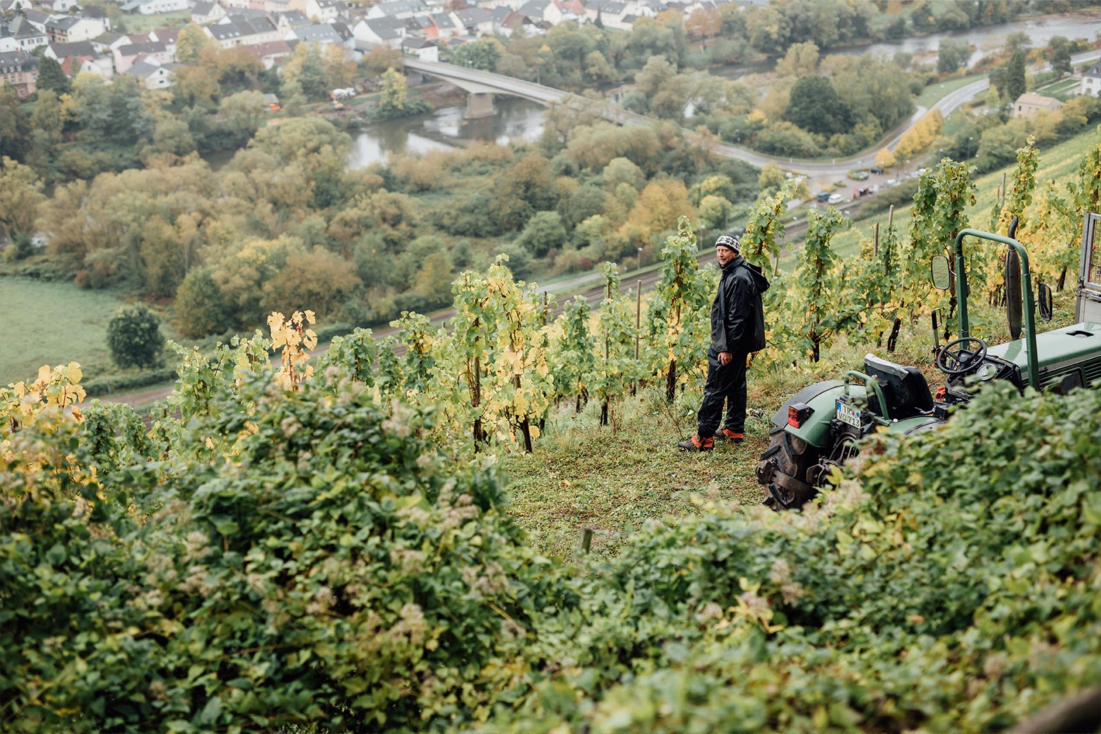 Arbeit im Steilhang an der Saar – Weinbergsarbeit für Saar Riesling im Anbaugebiet Mosel