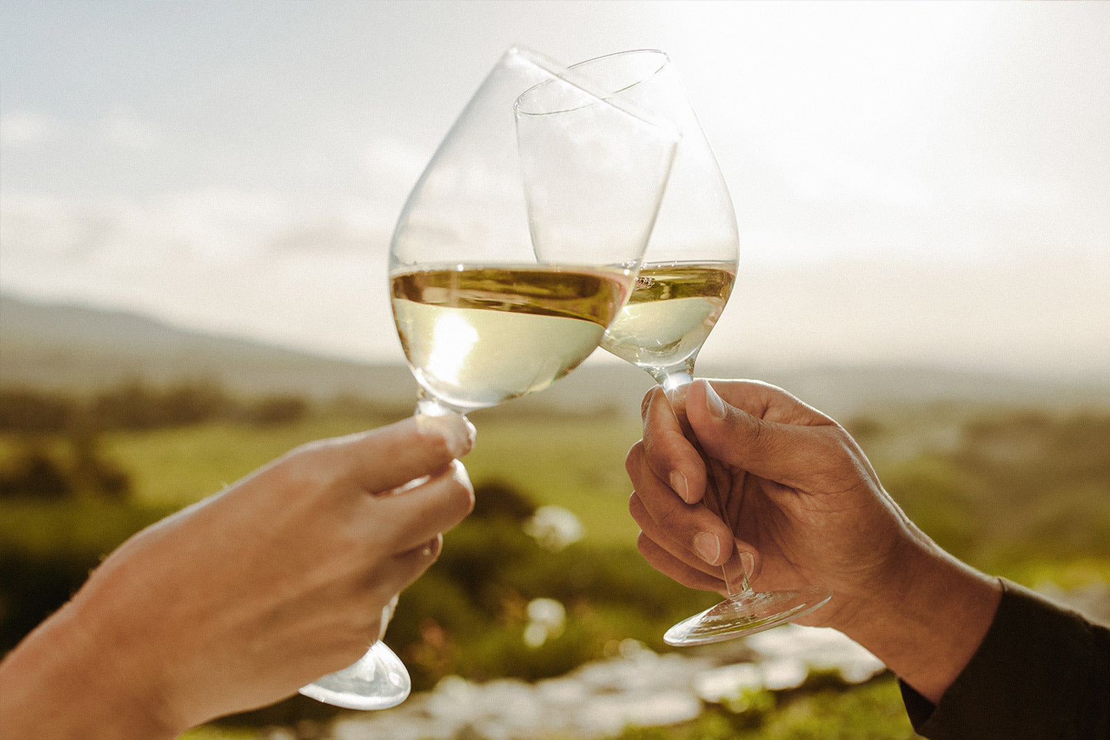 Anstoßen mit Weißwein von der Mosel vor der Weinbergslandschaft